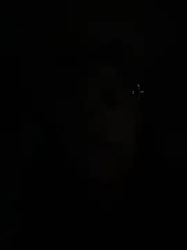 FlorSalvaje_