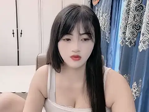 sjsibi