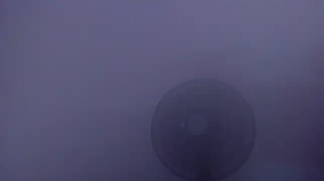 Scarlett_811