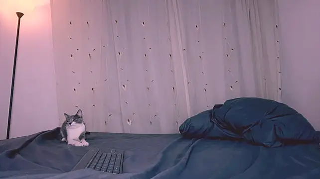 Miiafoxxx - fuck doggy pussy hard POV