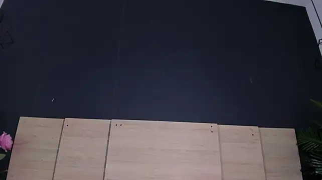 Dannabeacker - Ride Dildo + Control Lush 4 min 🕹️🍆🥵