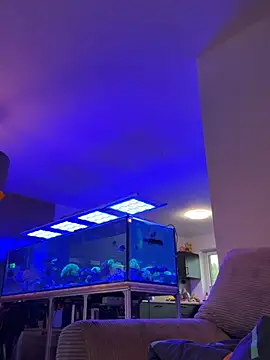 NewMichelle - LT win 4 Videos