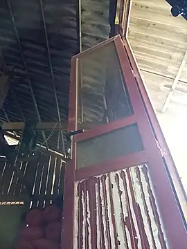 Hala-tia - Mong gặp người tốt