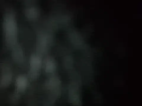 Synfulsymone9 - XXX show