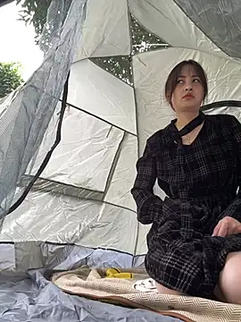 Huihui_520