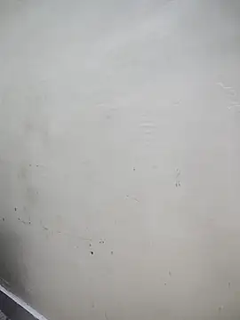 Hot_zeclin - Shaky booty + x 3 slap thcm 🍑