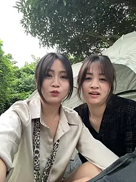 Huihui_520