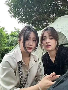 Huihui_520