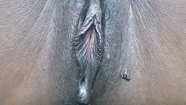 LunaRayxxxx - open pussy