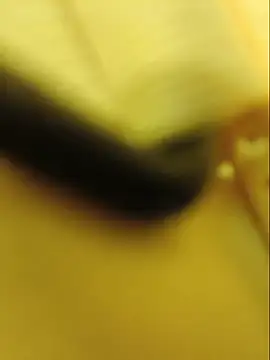 Bichota85 - Escupir tetas+ 3 videos LT