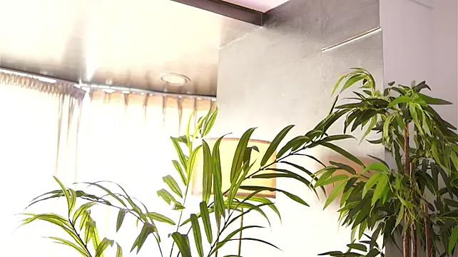 HotBustyBabeX - The Big Reveal – Bra Off, Tits Out
