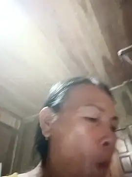Toyo_668