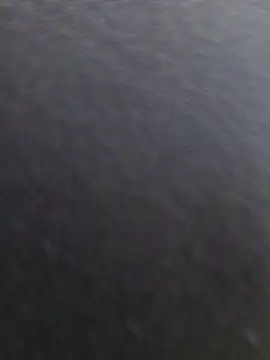 Fernanda_Velez - WALK ARROUND NO PANTIES +control x2mn🕹️