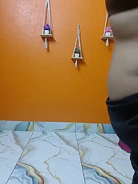 Sony-Model