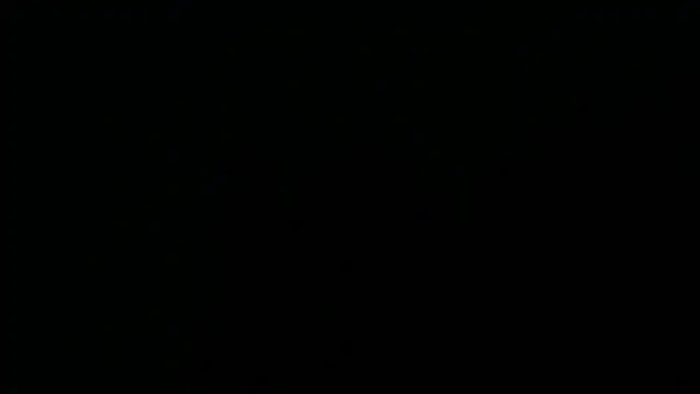 Kittens_hornxyxx