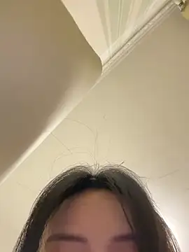 Huihui_520