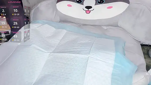 Puppyoo_001 - 等你