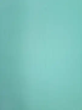 BongQueen9