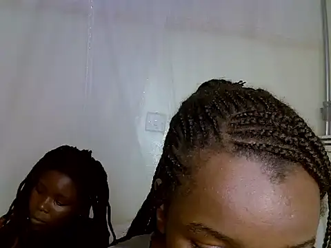 Shelly_mes