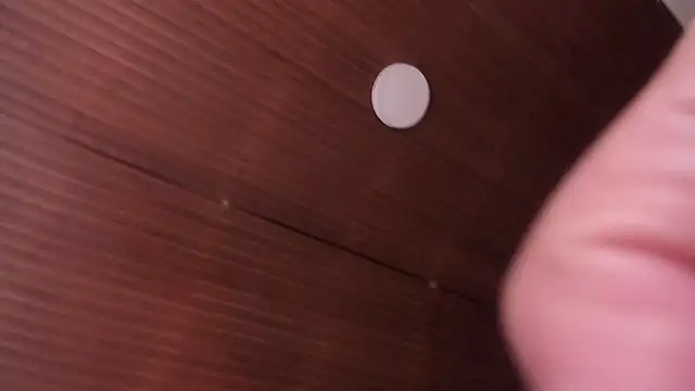 Veronica_Jacobss