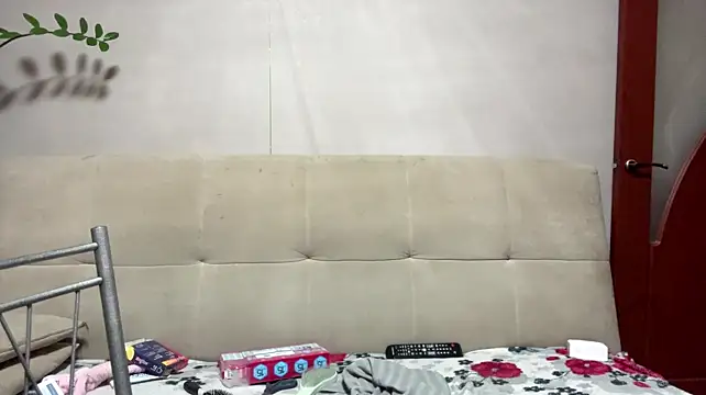 ClaudeBlitz - flash my ass