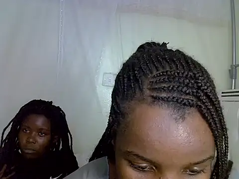 Shelly_mes