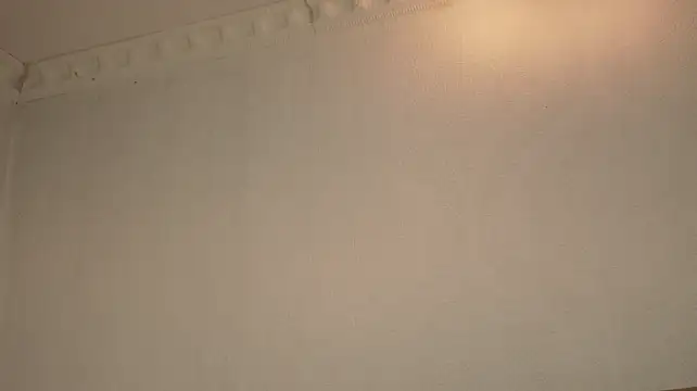 LeilaBie - Dildo fuck my pussy and make me scream