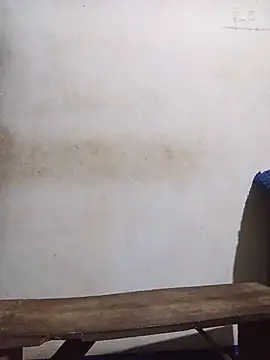 Christmaco