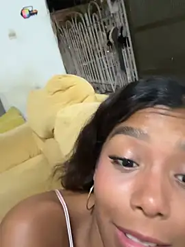 Cinnamon_19 - plug anal