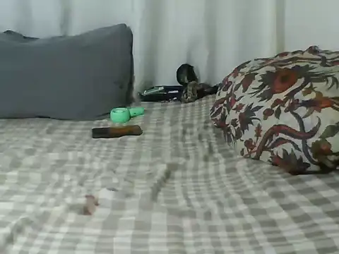 Jiggle_assie - strap show