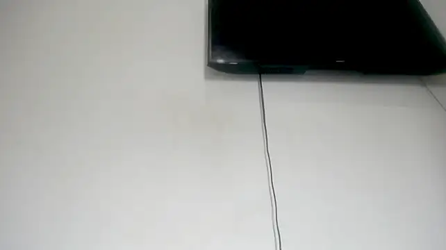 Fox_Loves