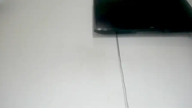 Fox_Loves