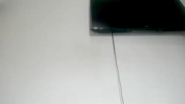 Fox_Loves