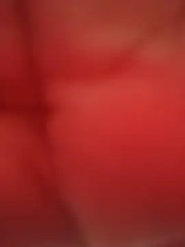 Subrina100