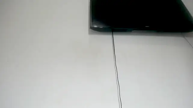 Fox_Loves