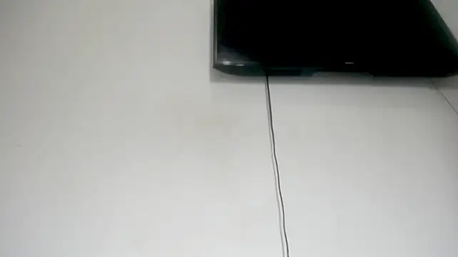 Fox_Loves