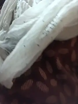 BHABHI-JI69