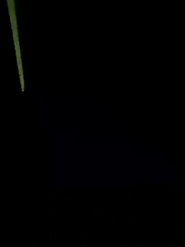 Kinkcouple_ - Fuder Buceta 🍆🐱 / Pussy Fuck 🍆