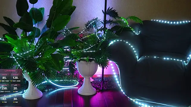 Viola_Becker - anal plug