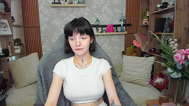 AniParadise
