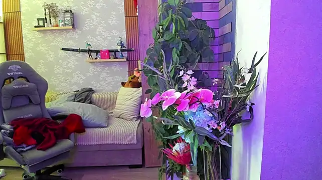 AniParadise