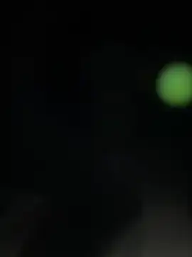 Bunny_Lush - SQUIRTT💦💦 + :gift: 4 every 50tk