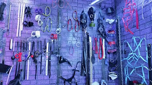 PANDORANEZZ - nipple clamps