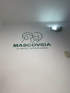 Nahomy_benet - COVER FACE WITH MILK IN THE VET