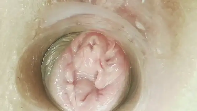 Karol_stom - PLUG MY ASS