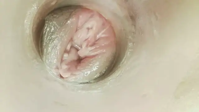 Karol_stom - PLUG MY ASS