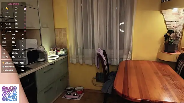 ElidedPremise