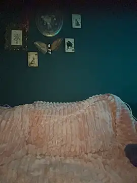 Sami_zone