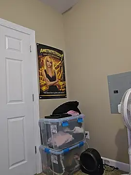 AmethystFoxx - Strip dance (get naked)