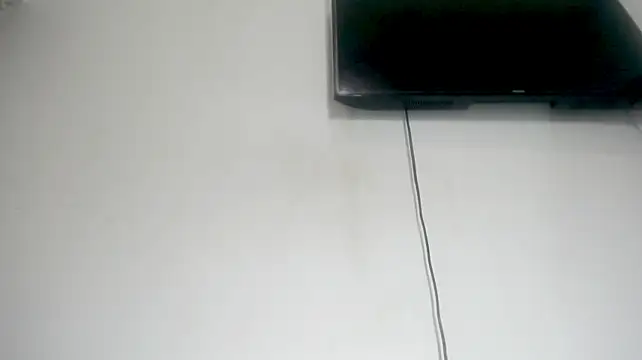 Fox_Loves